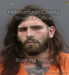 Mugshot of ETHAN HUNTER CHASE NAPIER booked in Hillsborough County, Florida on May 6, 2026