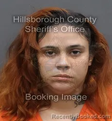Mugshot of SHAKIRA PADUA booked in Hillsborough County, Florida on May 6, 2026