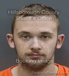 Mugshot of JAMES WIARD