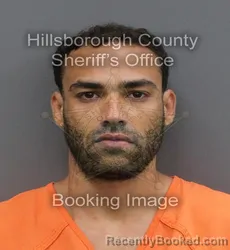 Mugshot of MICHAEL YUSEFT VARGAS JIMENEZ booked in Hillsborough County, Florida on May 6, 2026