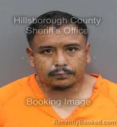Mugshot of EMMANUEL ROBLES booked in Hillsborough County, Florida on May 6, 2026