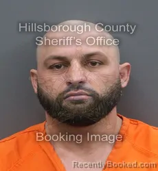 Mugshot of SHAWN DALE JOHNSON booked in Hillsborough County, Florida on May 6, 2026