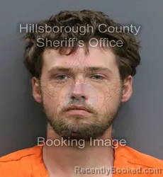 Dallas Hoffman Rutledge-Neeb Mugshot & Arrest Info | Hillsborough ...