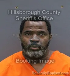 Mugshot of HAI KING THORNTON booked in Hillsborough County, Florida on May 14, 2026