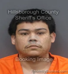 Mugshot of BRIAN EDUARDO CLAVEL booked in Hillsborough County, Florida on May 14, 2026