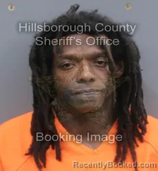 Mugshot of ANTHONY RAY WILLIAMS booked in Hillsborough County, Florida on May 14, 2026