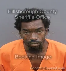 Mugshot of ROMEO ANTHONY TUCKER booked in Hillsborough County, Florida on May 14, 2026