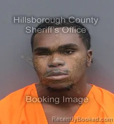 Mugshot of JUSTIN JEROD MURVIN booked in Hillsborough County, Florida on May 16, 2026