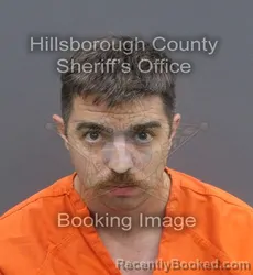 Mugshot of CHRISTOPHER JAMES GALLAGHER booked in Hillsborough County, Florida on May 16, 2026