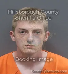 Mugshot of GABRIEL CHARLES ANDERSON booked in Hillsborough County, Florida on May 16, 2026