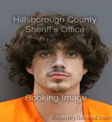 Mugshot of JEFFREY ALAN JR BROWNFIELD booked in Hillsborough County, Florida on May 16, 2026