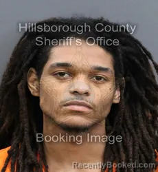 Mugshot of JORDAN LEE HARRIS booked in Hillsborough County, Florida on May 16, 2026