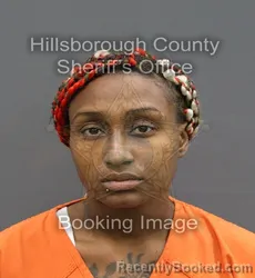 Mugshot of CAYLA MONIQUE BURT
