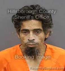 Mugshot of JAMIE LOPERENA RIVERA