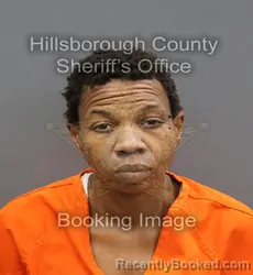 Mugshot of ANGIE DELORES JENKINS