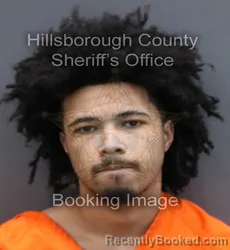 Mugshot of JAYDEN MCDANIEL