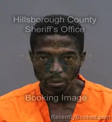 Mugshot of DARRYL RASHAD COARD WINGO booked in Hillsborough County, Florida on May 22, 2026