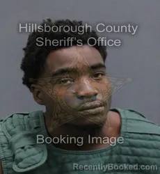 Mugshot of JEFFREY ALEXANDER JR TYSON booked in Hillsborough County, Florida on May 22, 2026