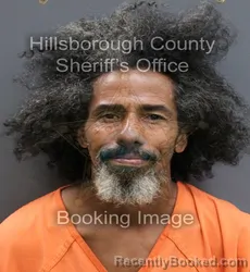 Mugshot of MARKANTHONY ROOSEVELT LITTLE booked in Hillsborough County, Florida on May 22, 2026