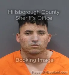 Mugshot of LEONARDO DOMINGUEZ MAYO booked in Hillsborough County, Florida on May 22, 2026