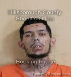 Mugshot of MARCOS ANTONIO RODRIGUEZ booked in Hillsborough County, Florida on May 22, 2026
