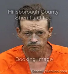 Mugshot of LUCAS MICHAEL VERFUSS booked in Hillsborough County, Florida on May 22, 2026