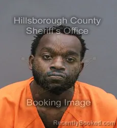 Mugshot of TITO JERMAINE LYONS booked in Hillsborough County, Florida on May 22, 2026