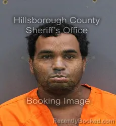 Mugshot of JOSE GREGORIO LOPEZ BRETT booked in Hillsborough County, Florida on May 22, 2026