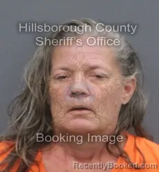Mugshot of TAMMY LYNN MCMICHAEL booked in Hillsborough County, Florida on May 22, 2026