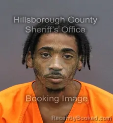 Mugshot of LOUIS WATTS booked in Hillsborough County, Florida on May 22, 2026