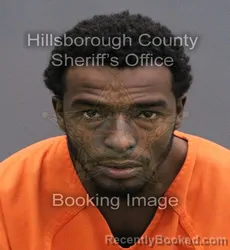 Mugshot of JAYLIN AUGUSTA BURDEN booked in Hillsborough County, Florida on May 22, 2026