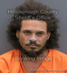 Mugshot of HECTOR FABIAN JR DELGADO booked in Hillsborough County, Florida on May 22, 2026