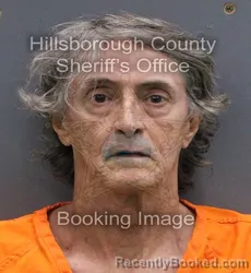 Mugshot of DONALD RAY JR DILLARD booked in Hillsborough County, Florida on May 22, 2026