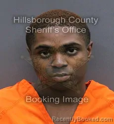 Mugshot of PHARRELL ALAN JAKYIA WADE booked in Hillsborough County, Florida on May 23, 2026