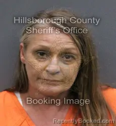 Mugshot of MISTI WEBB SWART booked in Hillsborough County, Florida on May 23, 2026