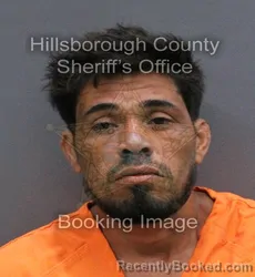 Mugshot of RAMON ERBEN ARTEGA booked in Hillsborough County, Florida on May 23, 2026