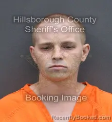 Mugshot of HOLLI PINARDI booked in Hillsborough County, Florida on May 23, 2026