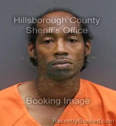 Mugshot of DWIGHT EDMUND FELTON booked in Hillsborough County, Florida on May 23, 2026