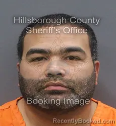 Mugshot of JAHZIEL DAVID SERRANO LORA booked in Hillsborough County, Florida on May 23, 2026