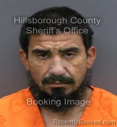 Mugshot of DAVID PALACIOS booked in Hillsborough County, Florida on May 23, 2026