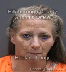 Mugshot of MARY ANN BOWMAN booked in Hillsborough County, Florida on May 23, 2026