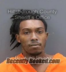 Booking photo from Hillsborough County, Florida