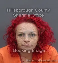 Mugshot of NATASHA DEANNA CORDONE booked in Hillsborough County, Florida on May 23, 2026