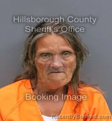Mugshot of CINDY MICHELLE LAMOUREUX booked in Hillsborough County, Florida on May 23, 2026