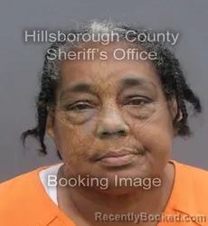 Mugshot of ROXANNE DELORES ROBINSON booked in Hillsborough County, Florida on May 23, 2026