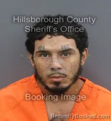 Mugshot of CHRISTOPHER E L VASQUEZ booked in Hillsborough County, Florida on May 23, 2026