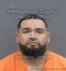 Mugshot of ANDRES BORJA GIL DELAMADRID booked in Hillsborough County, Florida on May 23, 2026