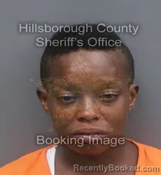 Mugshot of CASSANDRA ELOUISE JACKSON booked in Hillsborough County, Florida on May 23, 2026