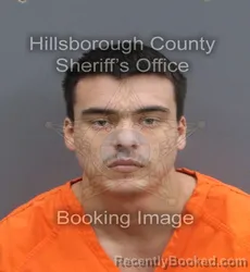 Mugshot of ANTHONY JR PADILLA booked in Hillsborough County, Florida on May 23, 2026