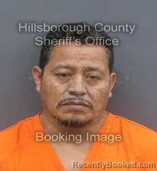 Mugshot of PRIMITIVO GONZALEZ CASTRO booked in Hillsborough County, Florida on May 23, 2026